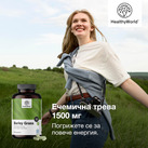 Image preview 2