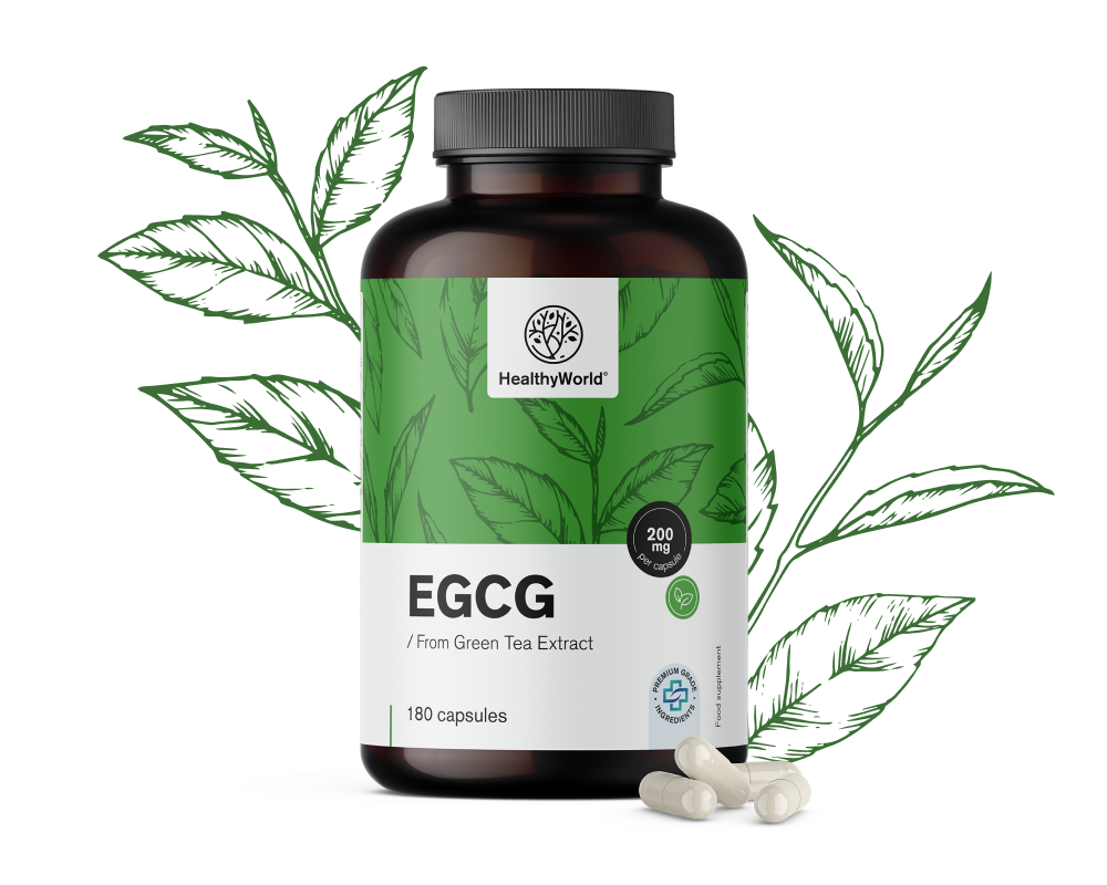 EGCG – от екстракт от зелен чай