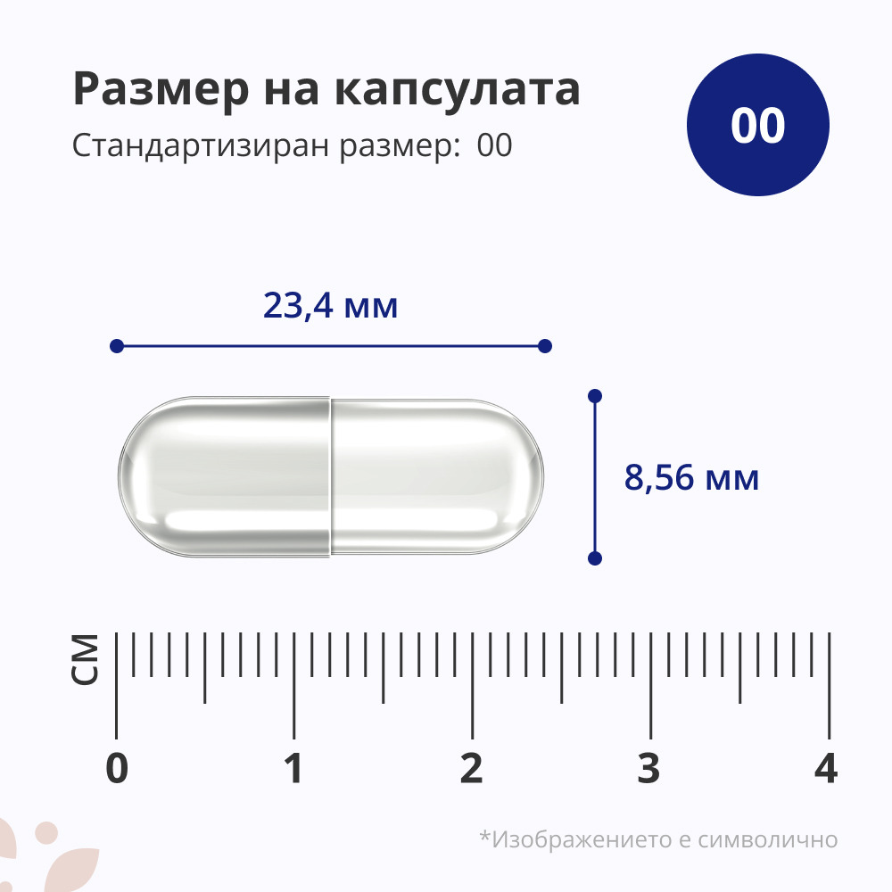 Ресвератрол 1000 мг - екстракт 100:1, 60 капсули - HealthyWorld.bg